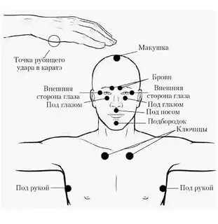 Точка техники