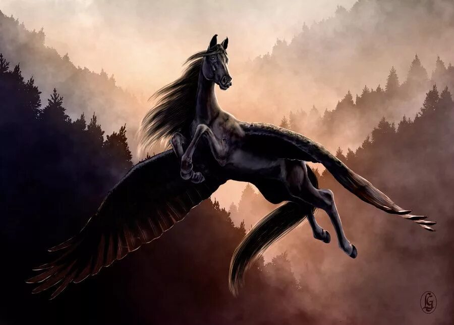 Winged horse. Пегас мифическое существо. Крылатая лошадь. Черная лошадь с крыльями.
