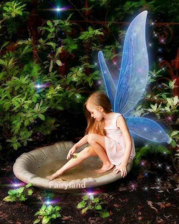 Pinterest Unicorn and fairies, Fairy art, Fantasy fairy