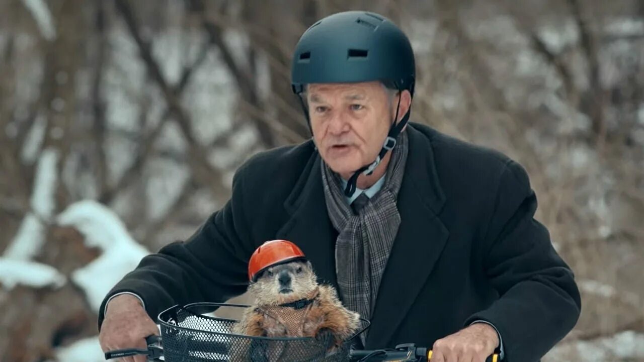 Билл мюррей дом. Билл мюррей 1993. День мюррей. Groundhog day 1993. Билл мюррей день сурка(1993).