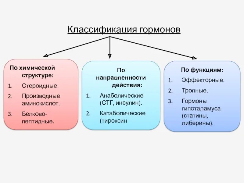 Классификация гормонов по структуре. Химическая классификация гормонов гормоны. классификация стероидных гормонов. тропные и эффекторные гормоны аденогипофиза. классификация пептидных гормонов.