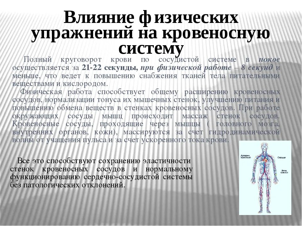 Физических нагрузок кровообращение. Влияние физических упражнений на систему кровообращения. Влияние физических упражнений на кровь. Влияние физических упражнений на кровеносную систему человека. Влияние физ упражнений на кровь и органы кровообращения.