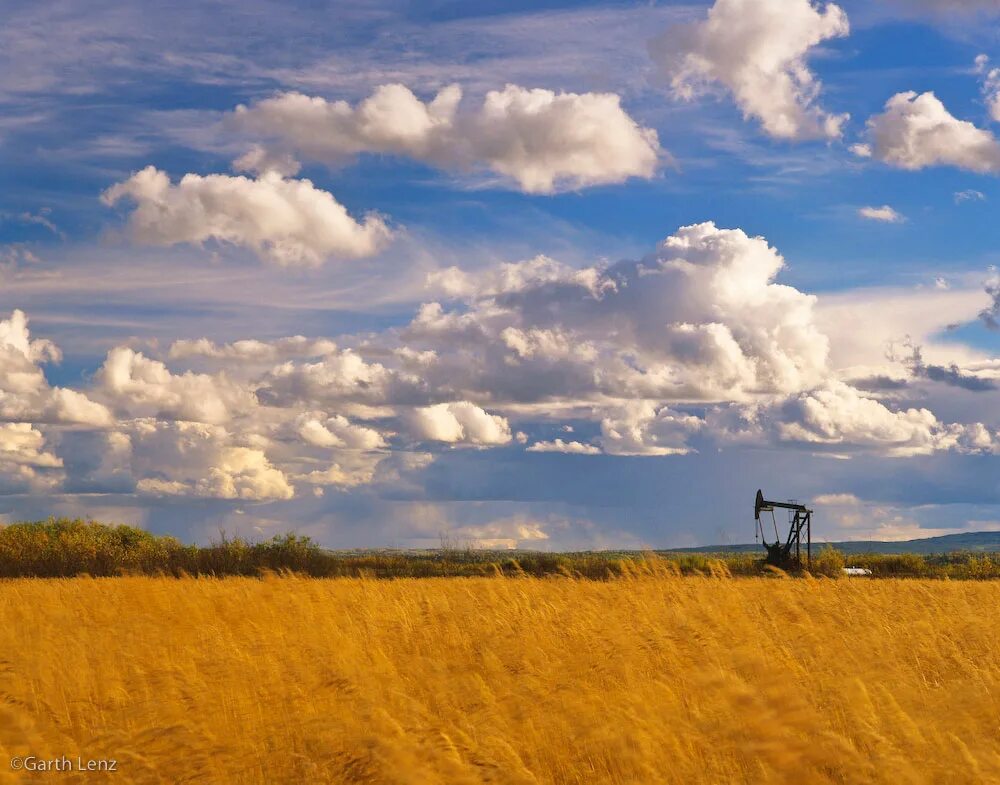 Better field. Зеленое поле россия. Горизонт белое небо. Паданская долина италия. Трава и небо.