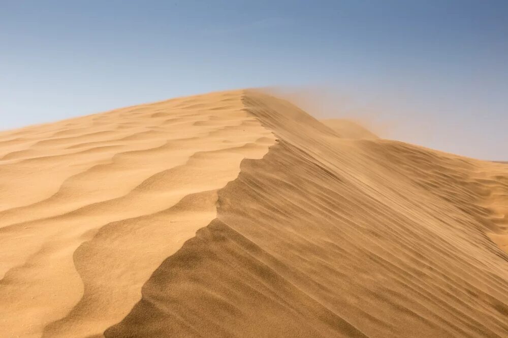 следы на песке. дюна пустыня. зыбучие пески «дюны». египет барханы нил. National geographic.