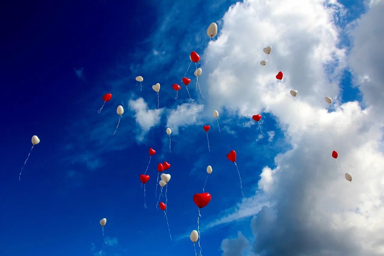 Шары в небо на выпускной. Воздушные шары в небе. Шарики в небе. Воздушный шарик. Синие воздушные шары в небе.