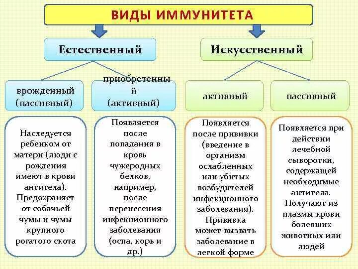 Естественный иммунитет особенности. Схема основные виды иммунитета. Виды иммунитета таблица 8 класс по биологии. Классификация приобретенного иммунитета. Схема классификации видов иммунитета.