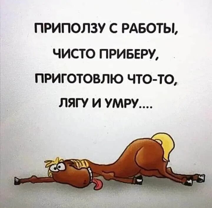 Песня приползет же сама