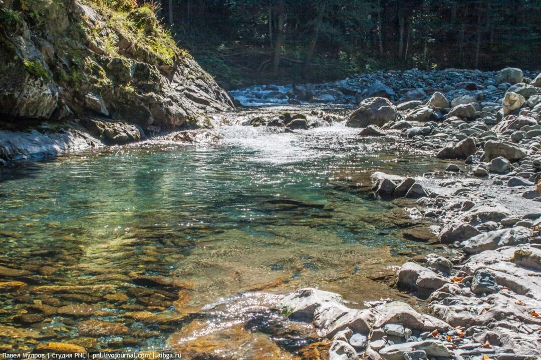 Зап 1 лярная природа. Река киша Адыгея. Долина реки киша. Кавказский заповедник реки. Адыгея слияние рек киша и белая фото.