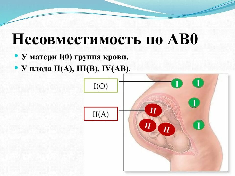 Группы крови. Резус-фактор. Резус-конфликт.. Групповая несовместимость крови матери и плода. При групповой несовместимости крови матери и плода. При несовместимости крови матери и плода по резус-фактору. Несовместимость по группе крови