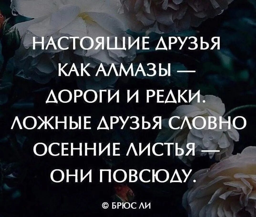 Цитаты про настоящую дружбу. Высказывания о настоящей дружбе. Афоризмы о настоящей дружбе. Дружба цитаты и афоризмы.