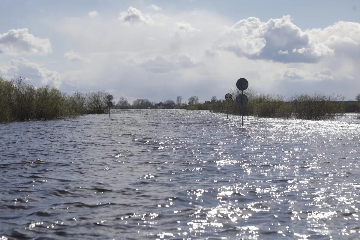 Уровень воды в вологде сегодня. Паводок река Кубена. Половодье река Кубена. Весенний паводок на реке Кубена Вологодская область. Паводок Усть-кубинский.