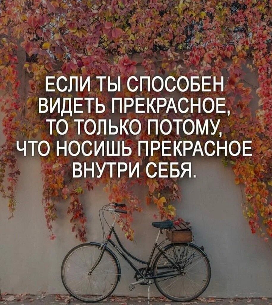 Картины высказывания. Фразы для вдохновения. цитаты про творчество. креативные высказывания. афоризмы о творчестве и вдохновении.