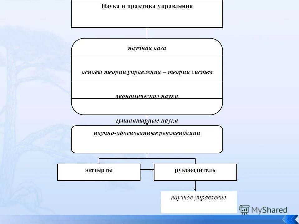 организация управления практика