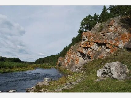 Курганская область урал