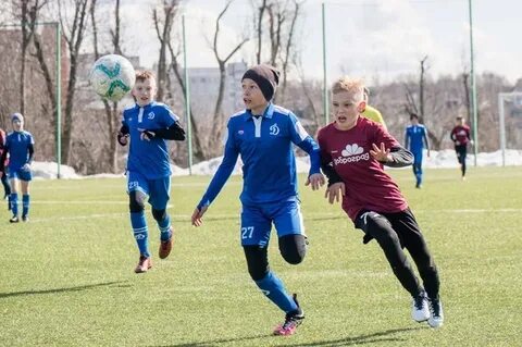 Сайт динамо кострома