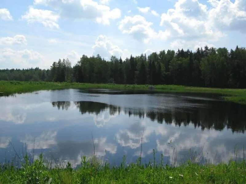 КП Медвежье озеро Ярославское шоссе. Озеро Лесное Клинский район. Коттеджный поселок Медвежье озеро. Озеро по Ярославскому шоссе. Участок медвежьи озера