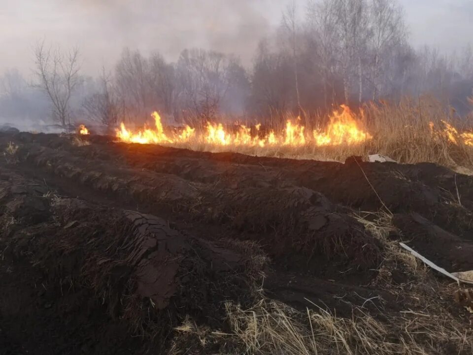 Горел караван. Травяной пожар. Пожар сухой травы. Загорание травы. Горит сухая трава.