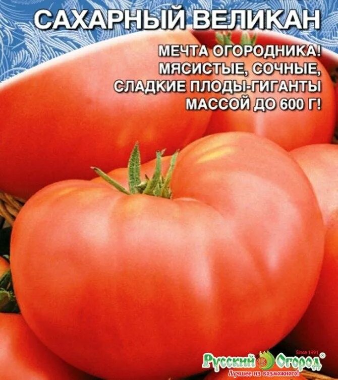 Сорт помидор гигант отзывы. Сорт томата сахарный гигант. сорт помидор сахарный гигант. томат сахарный гигант сибирский сад. сорта сахарных томатов мясистых.