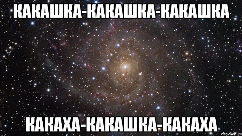 Какая любимая какашка. Люблю тебя моя какашка.