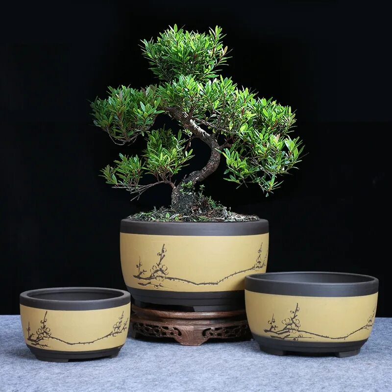 Bonsai pots. Горшок для бонсай. Bonsai pots. Плошка для бонсай. Hopping bonsai pot крафт.