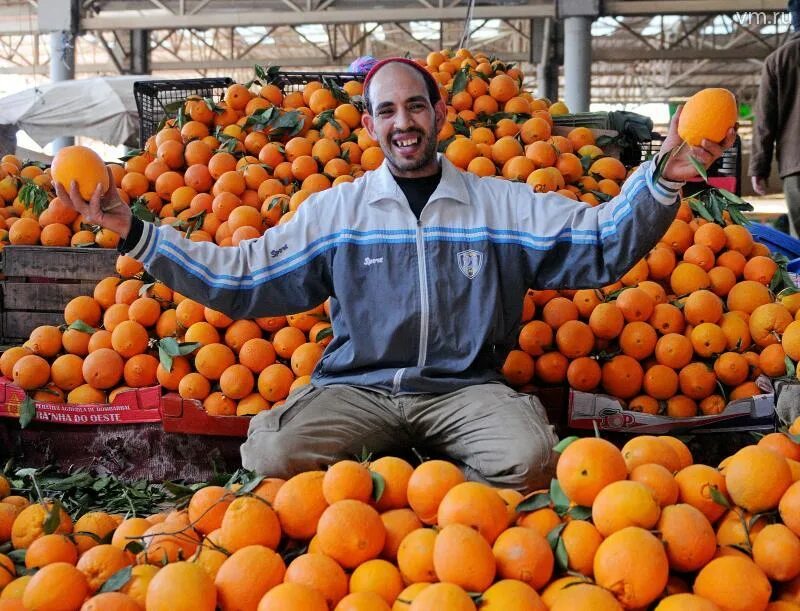 Среди мандаринов. Апельсины на рынке. Продавец мандаринов. Рынок мандарин. Грузинские апельсины.