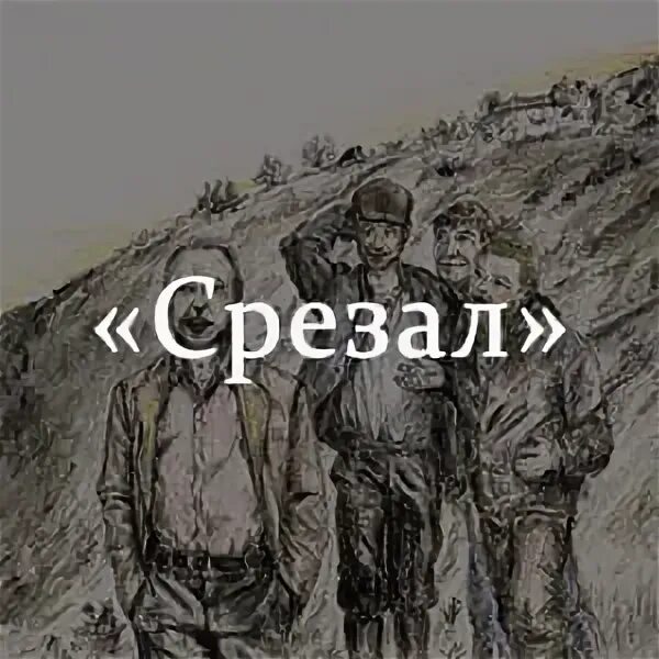 Рассказ срезал Шукшин. Обложка срезал. Иллюстрация к рассказу срезал. Читать рассказ срезал полностью