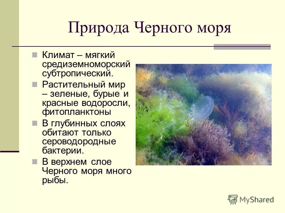 презентация на тему черное море. доклад на тему черное море 4 класс. черное море доклад. краткая история открытия черного моря. доклад на тему черное море 4 класс.