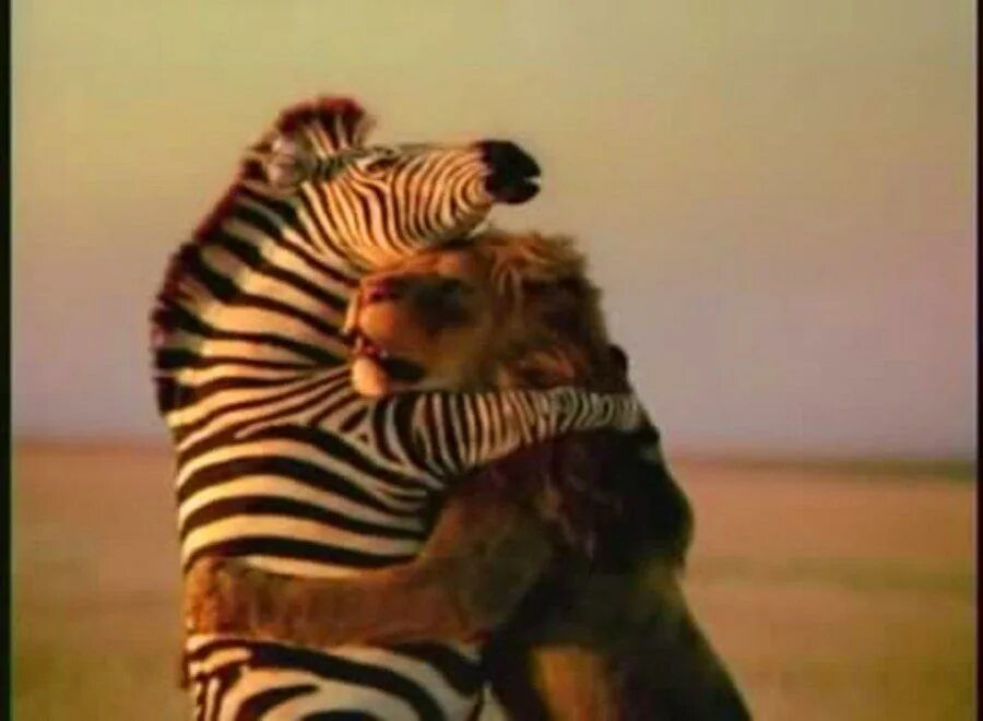Be glad to know. Glad to see you. марти алекс мем. i glad to see you. алекс и марти шип.