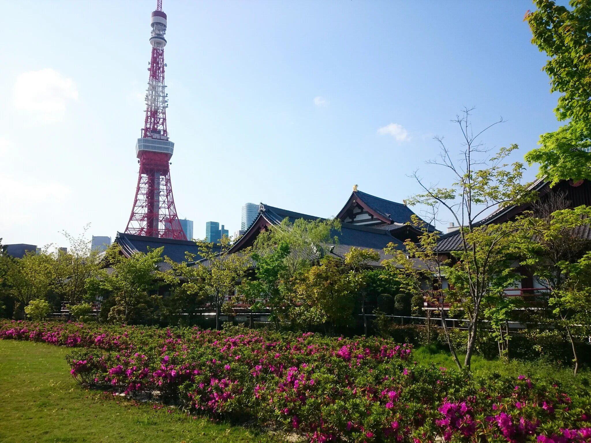 Tokyo park