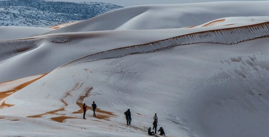 Сахара 2 жизни. Снег в пустыне сахара 2021. Алжир сахара. Пустыня зимой. Снежные пустыни.