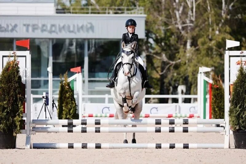 кск урожай. тренер выездка кск урожай. тренер выездка кск урожай. тренер выездка кск урожай. кск сокорос сокольники.