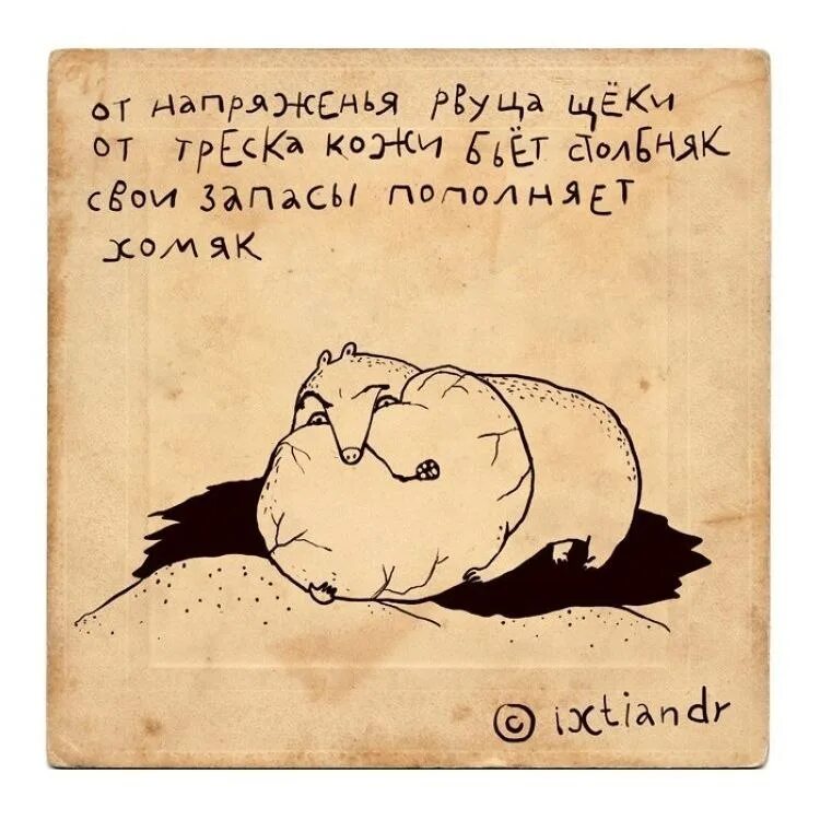 Прикольные стихи. Стихи приколы. Стих прошка. Стихи с юмором. Смешные стихи для детей.