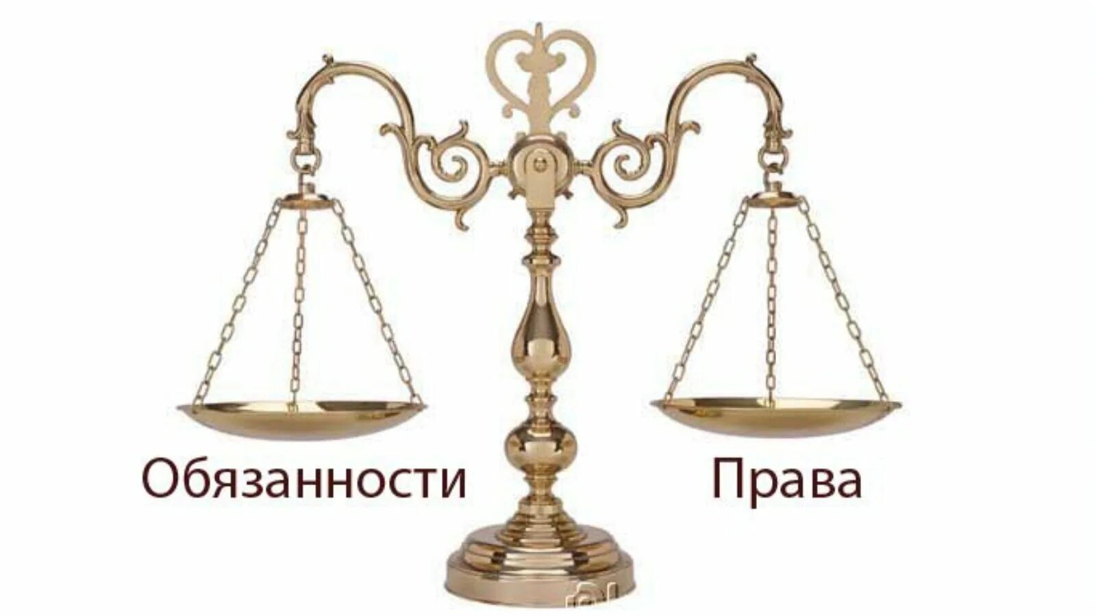 Весы общего значения это. Весы общего значения это