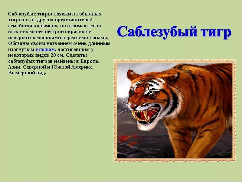 Тигр где находится история 5 класс. Сообщение про Саблезубого тигра. Саблезубый тигр описание. Саблезубый тигр доклад. Доклад про Саблезубого тигра.