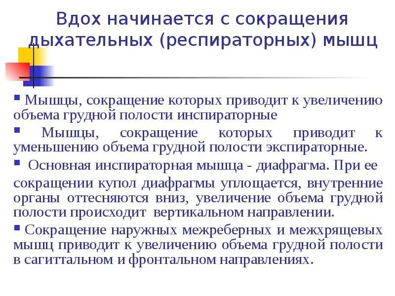 С чего начинается вдох цдз. Вдох начинается с сокращения. обычный вдох начинается с сокращения:. сокращение дыхательных мышц. спокойный вдох начинается с сокращения:.