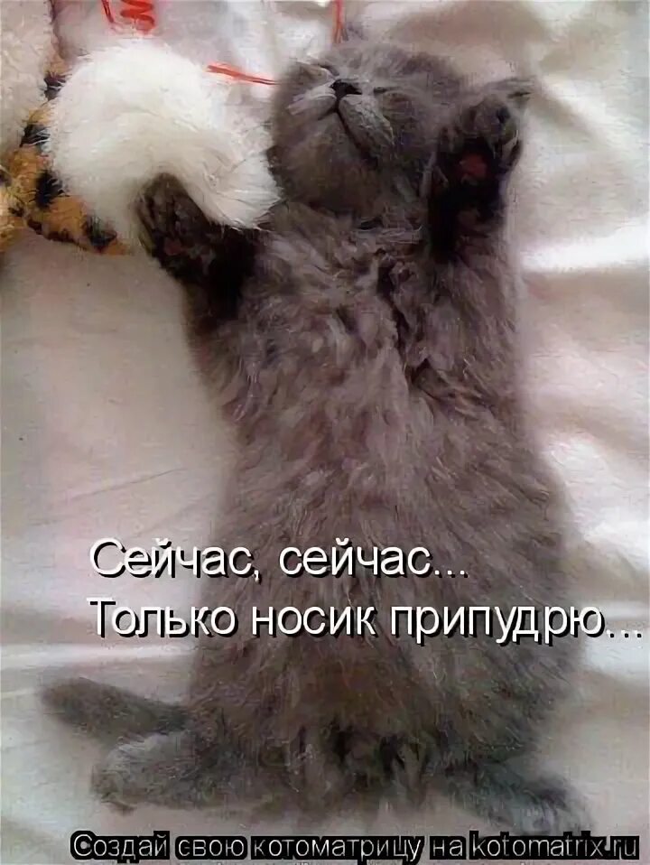 попудрить носик