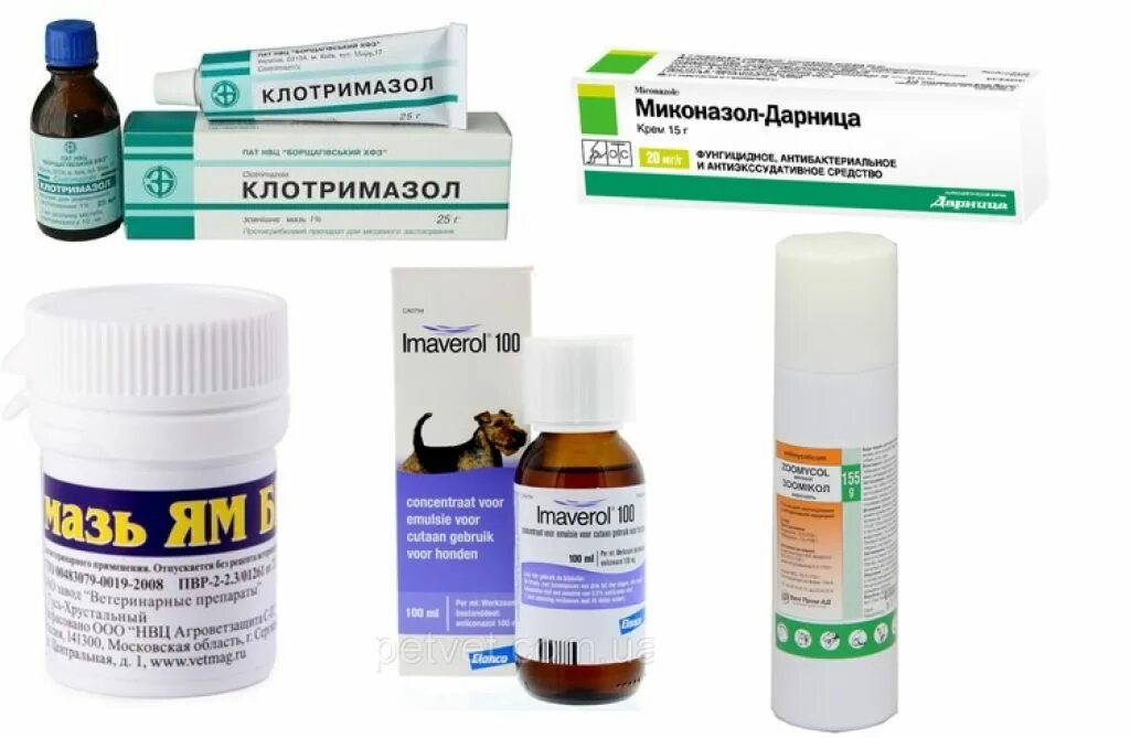 мазь от лишая для кошек. 100мг №20). таблетки и мазь от стригущего лишая. отрубевидный розовый лишай препараты для лечения мазь. маз от опаясиваюший лешай.