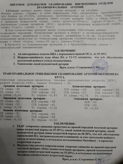 Артерии заключение