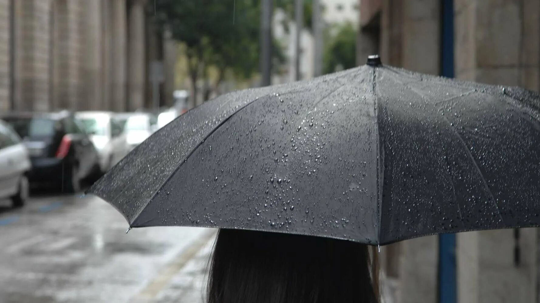 12 без дождя. Штормовое предупреждение. Дождливая погода. Девушка с зонтом фото. Сентябрь дождь.