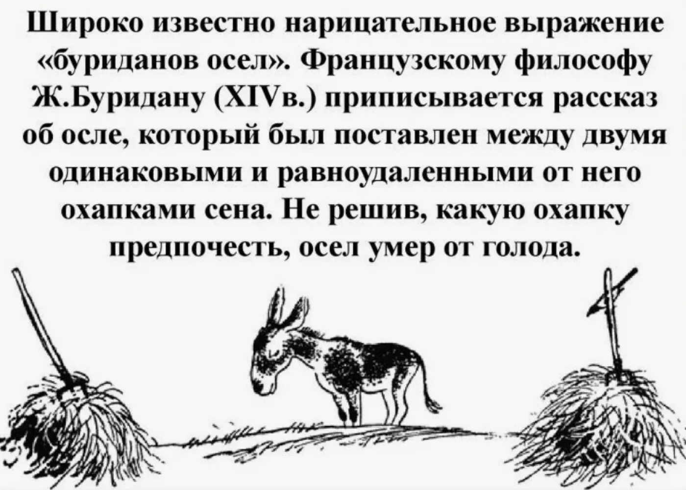 Притча о буридановом осле. Буриданов осёл фразеологизм. Фразеологизм буриданов. Парадокс буриданова осла. Буриданов осёл происхождение фразеологизма.