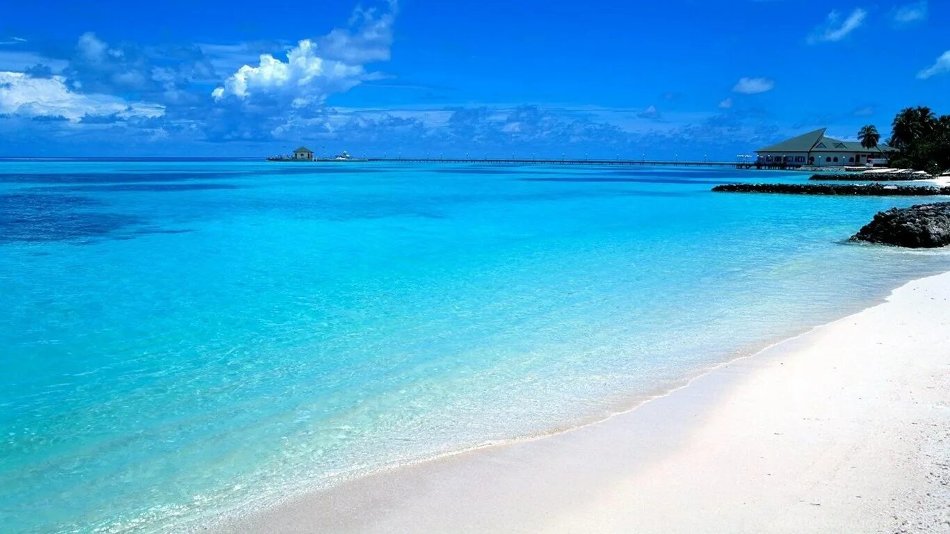 Лазурный пляж Ямайка. Лазурный берег Турции. Лазурный берег Мальдивы. Турция белый песок. Beach scene