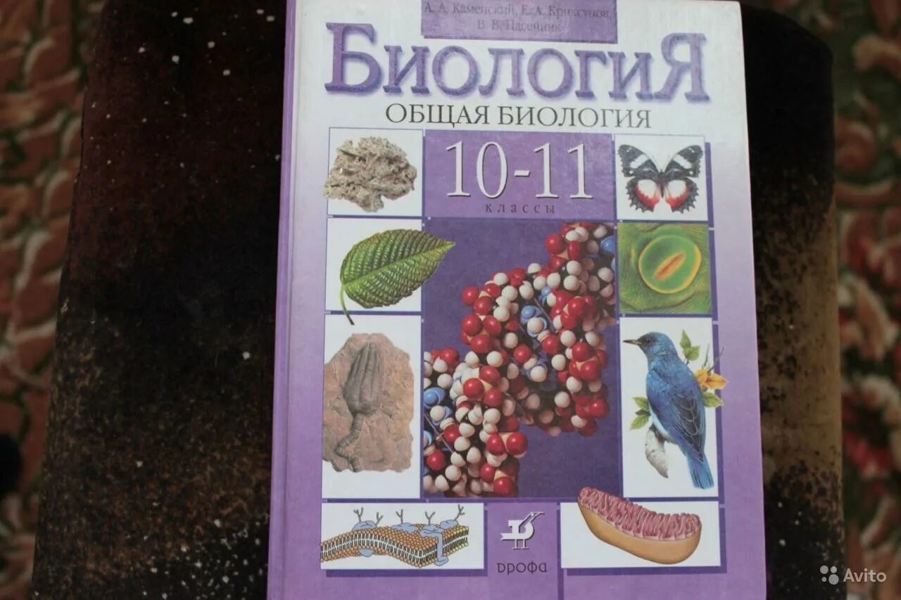 Биология 10 11 каменский криксунов. Каменский а.а., Криксунов е.а., Пасечник в.в.. А А Каменский е а Криксунов в в Пасечник общая биология 10-11. Биология общая биология 10-11 класс. Биология общая биология 10-11 класс Каменский.