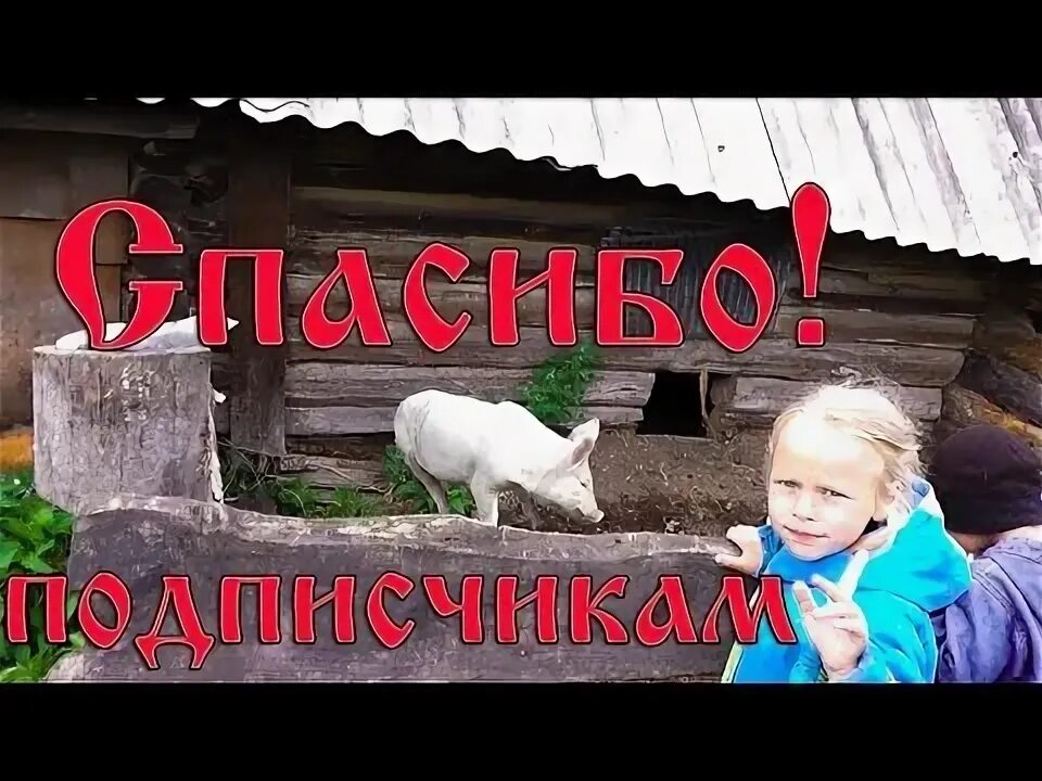 Благодарю переезд в деревню ютуб. Благодарю переезд в деревню.