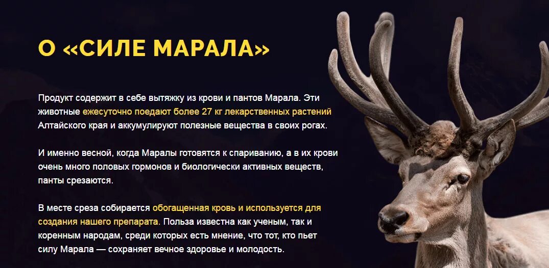 Что такое кровь пантов Алтайского марала. Марал рога. Рога молодого оленя. Оленьи панты.