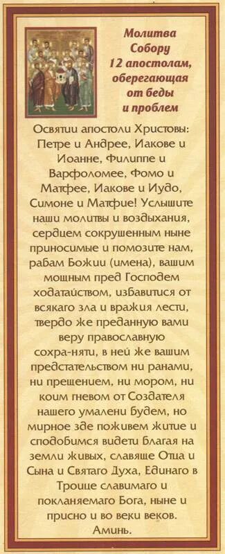Помощь молитвой животных. Молитва апостолам. молитва за животных святому власию. молитва святому апостолу матвею. молитва апостолу луке.