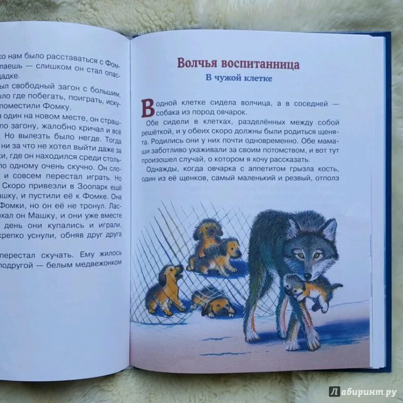 Рассказ чужая книга