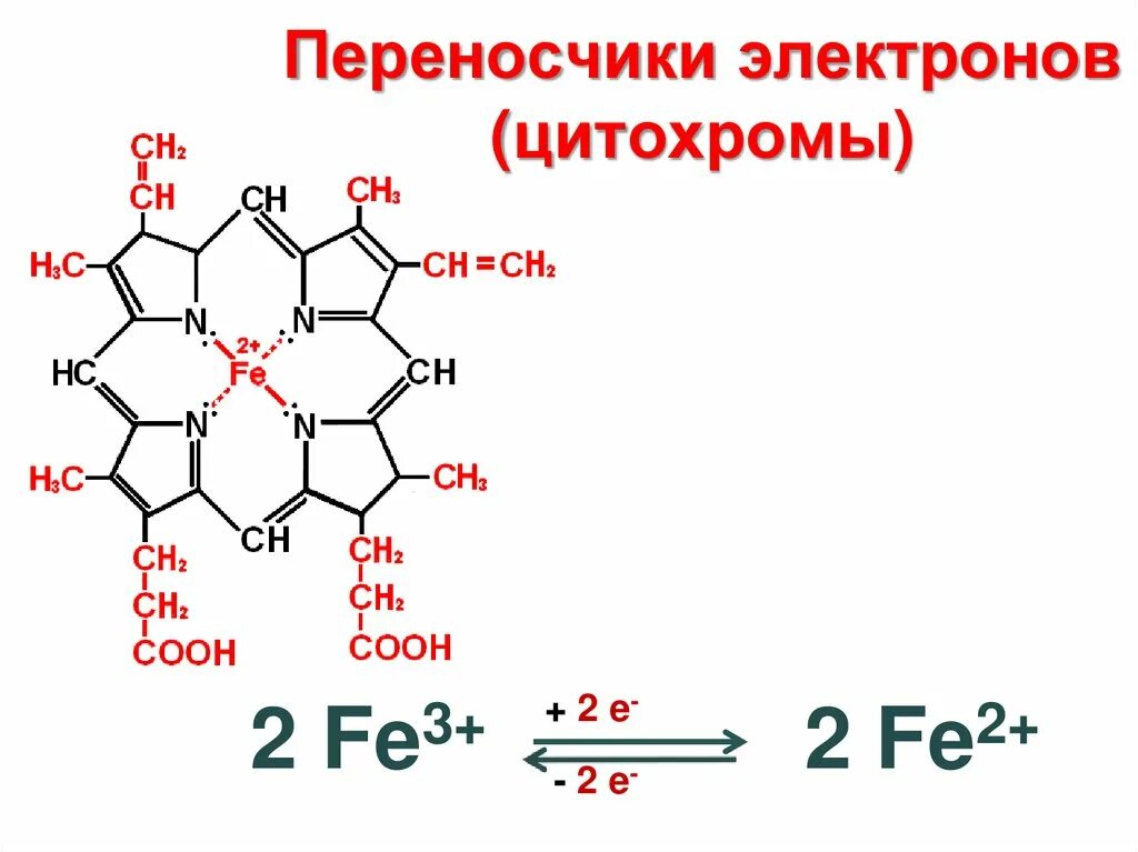 Цитохром c. Цитохром p450 реакции. цитохромы строение. цитохром c1. цитохромоксидаза функции.