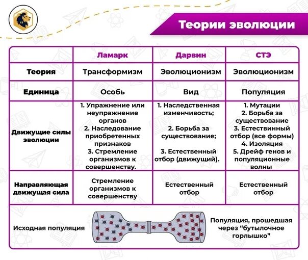 Биология 5 класс 2025 2025. Шпаргалка эволюция биология. биология. шпаргалка. биология шпоры. эволюция биология шпоры.