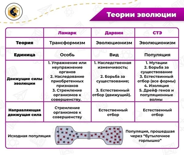 Биология задание 2 теория. Шпаргалка Эволюция биология. Шпора по эволюции ЕГЭ биология. Шпаргалка по эволюции. Шпоры по биологии Эволюция.