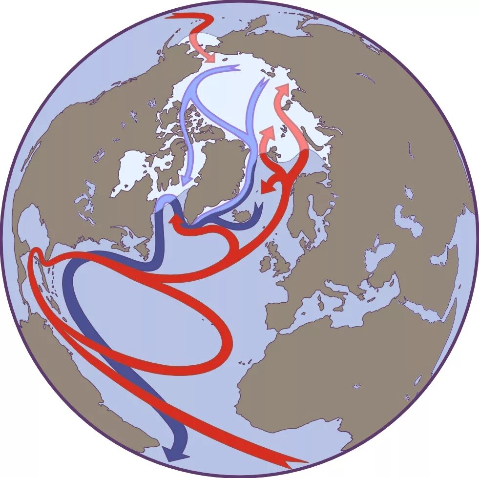 Теплое течение европы. Течение Гольфстрим на карте. Что такое Гольфстрим в географии. Гольфстрим течение. Гольфстрим морские течения.